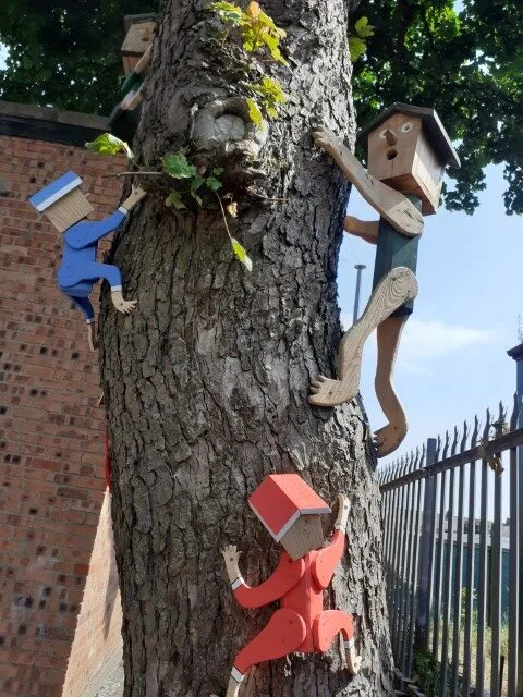 For Sale Nesting Boxes 20240731 121044 (Small)