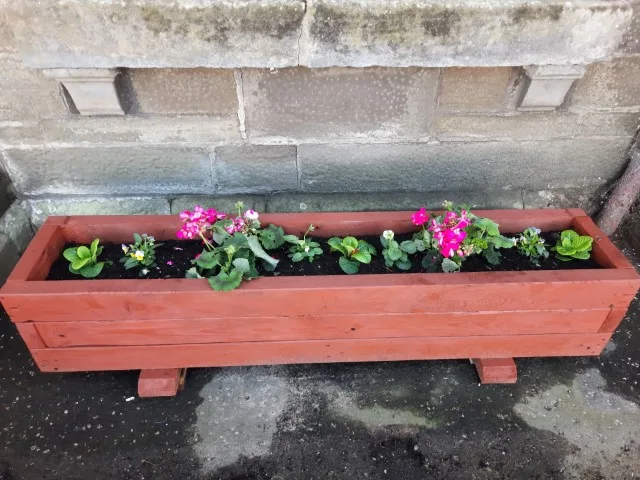 For Sale Planters 20240925 124553 (Small)